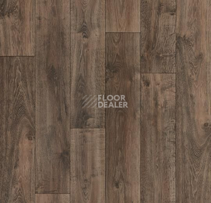 Линолеум Forbo Sarlon Wood 19dB 8224T4319 brown rustic oak фото 1 | FLOORDEALER